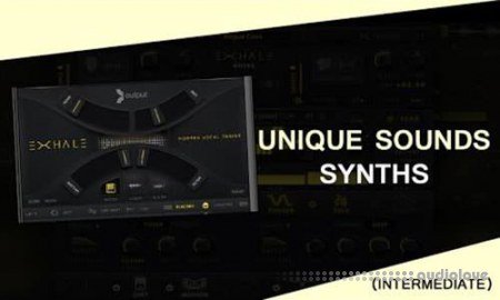 Vandalism Unique Sounds: Synths