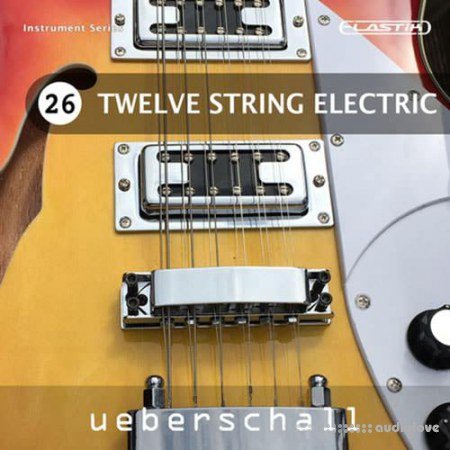 Ueberschall Twelve String Electric