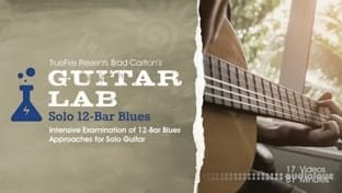 Truefire Guitar Lab Solo 12-Bar Blues (2017)
