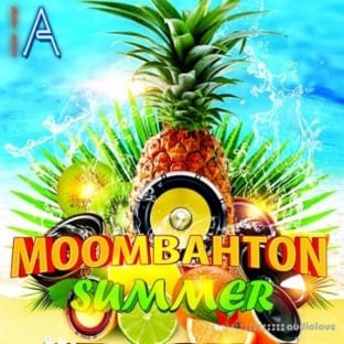 Fox Samples Must Have Audio: Moombahton Summer