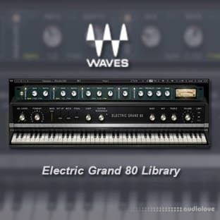 Waves Electric Grand 80 Library