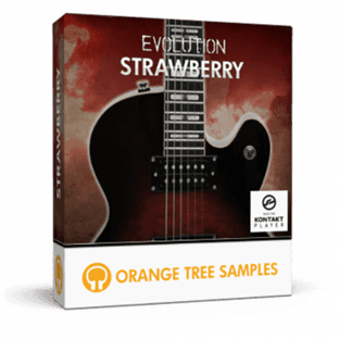 Orange Tree Samples Evolution Strawberry