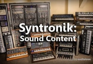IK Multimedia Syntronik: Sound Content