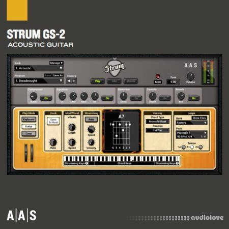 Applied Acoustics Systems Strum GS-2