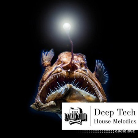 Rankin Audio Deep Tech House Melodics