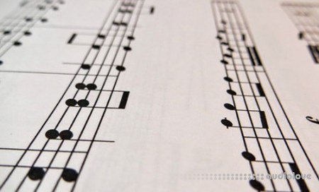 Udemy Read and Feel Musical Rhythms Like a Pro TUTORiAL