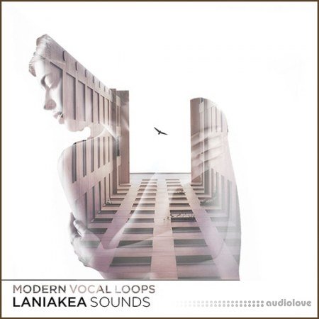 Laniakea Sounds Modern Vocal Loops