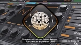Vengeance Avenger Expansion Pack Funky House