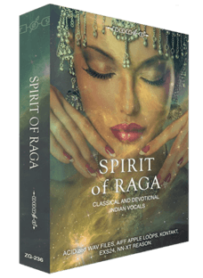 Zero-G Spirit Of Raga