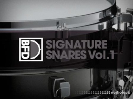FXpansion BFD Signature Snares Vol.1
