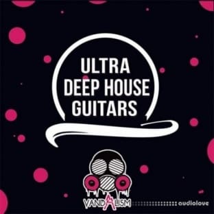 Vandalism Ultra Deep House Guitars
