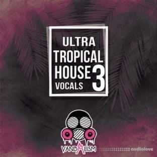 Vandalism Ultra Tropical House Vocals 3