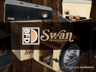FXpansion BFD Swan Percussion