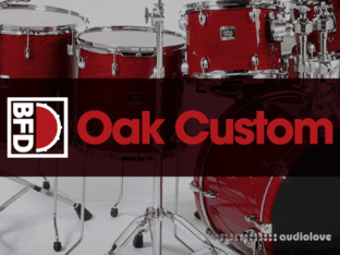 FXpansion BFD Oak Custom