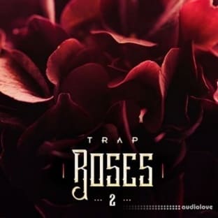 Diginoiz Trap Roses 2