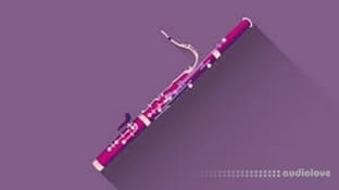 Udemy Advanced Bassoon Studies Learn to Master the Bassoon!​