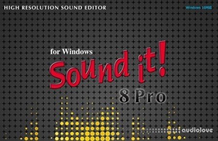Internet Sound It 9 Pro v9.01.0 WiN