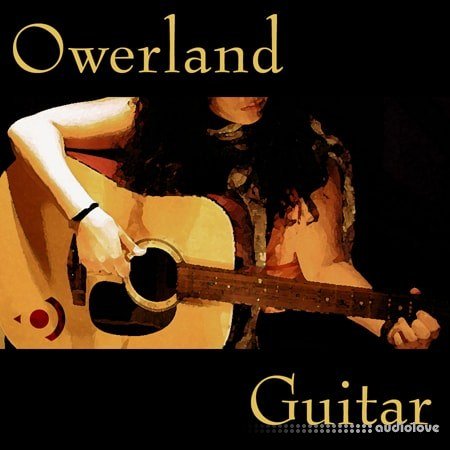 Precisionsound Owerland Guitar