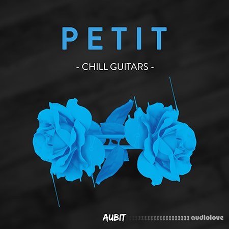 Aubit Petit Guitars