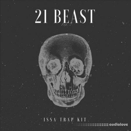 YnK Audio 21 Beast