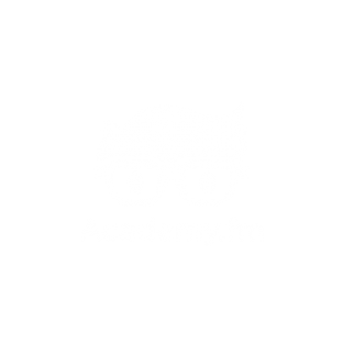 Academy.fm 17 Tutorials and Courses