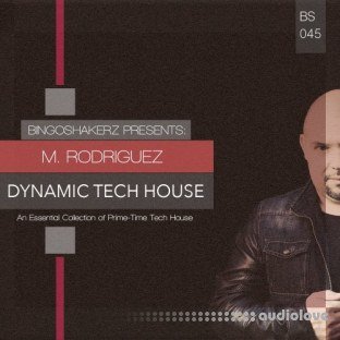 Bingoshakerz M.Rodriguez Dynamic Tech House