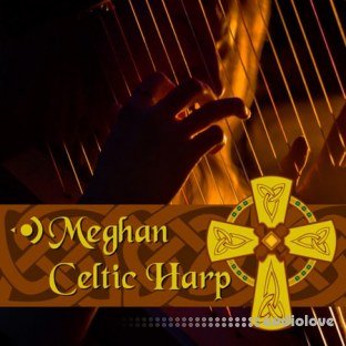 Precisionsound Meghan Celtic Harp