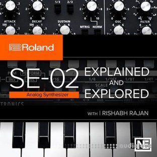Ask Video Roland Boutique 105 SE-02 Explained and Explored