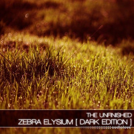 The Unfinished Zebra Elysium Dark Edition