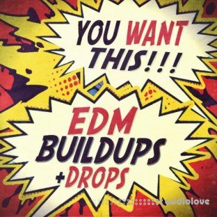 Sharp You Want This EDM Buildups and Drops