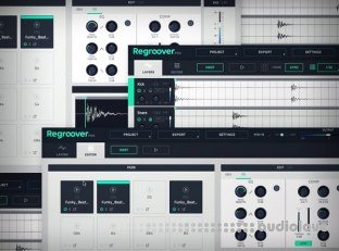 Groove3 Accusonus Regroover Pro Explained