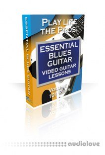 PG Music Video Guitar Lessons Essential Blues Guitar Volumes 1 and 2