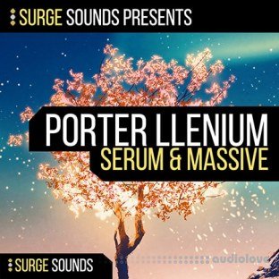 Surge Sounds Porter llenium