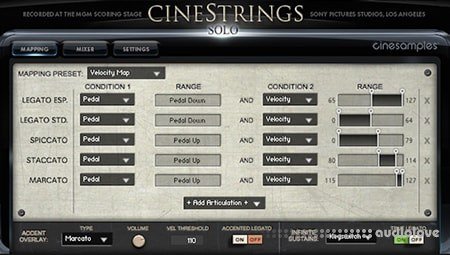 Cinesamples CineStrings Solo