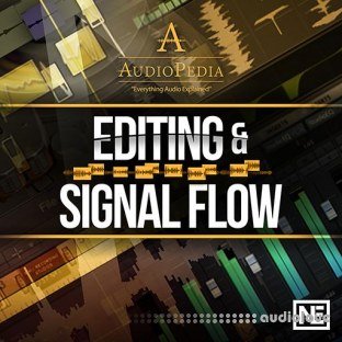 Ask Video AudioPedia 107 Editing and Signal Flow