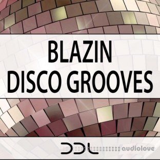 Deep Data Loops Blazin Disco Grooves