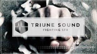 Triune Store Triune Sound Fighting SFX