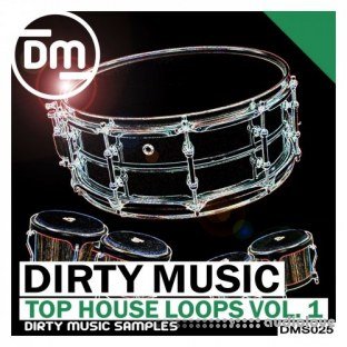 Dirty Music Top House Loops Vol.1