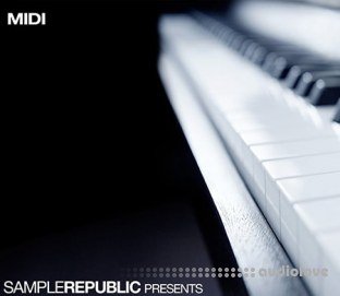 Sample Republic Vintage Chords