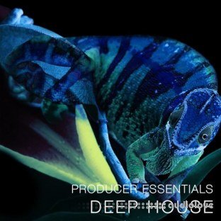 SPF Samplers Producer Essentials Deep House