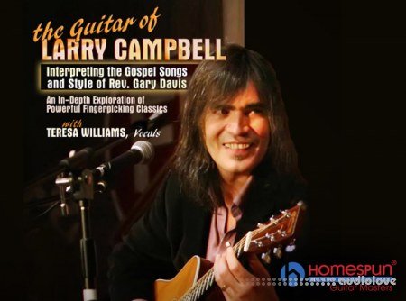 Homespun The Guitar of Larry Campbell