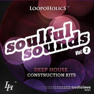 Loopoholics Soulful Sounds Vol.2 Deep House