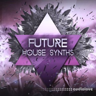 Audio Masters Future House Synths