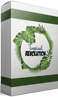 Evolution Of Sound Tropical Revolution