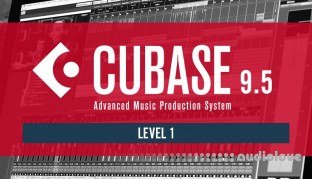 Sonic Academy How To Use Cubase 9.5 Beginner Level 1