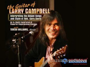 Homespun The Guitar of Larry Campbell