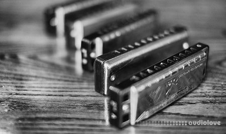 Udemy 30 day challenge learn to play the harmonica in one month