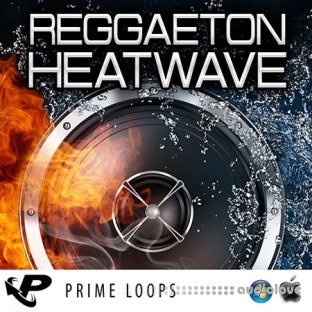 Prime Loops Reggaeton Heatwave