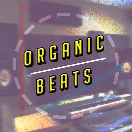 Udemy Creating Organic Beats in FL Studio