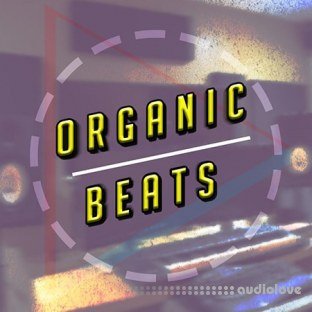 Udemy Creating Organic Beats in FL Studio